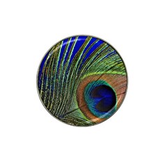 Peacock Feather Macro Peacock Bird Hat Clip Ball Marker (4 Pack) by Simbadda