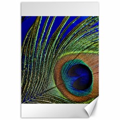 Peacock Feather Macro Peacock Bird Canvas 24  X 36  by Simbadda