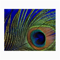 Peacock Feather Macro Peacock Bird Small Glasses Cloth (2-side) by Simbadda