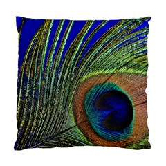 Peacock Feather Macro Peacock Bird Standard Cushion Case (one Side) by Simbadda