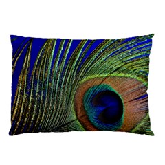 Peacock Feather Macro Peacock Bird Pillow Case by Simbadda