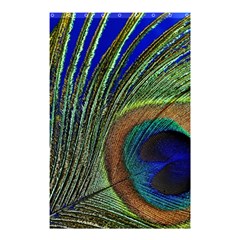 Peacock Feather Macro Peacock Bird Shower Curtain 48  X 72  (small)  by Simbadda