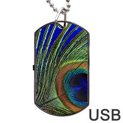 Peacock Feather Macro Peacock Bird Dog Tag Usb Flash (one Side) by Simbadda