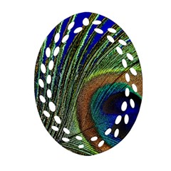 Peacock Feather Macro Peacock Bird Oval Filigree Ornament (two Sides) by Simbadda