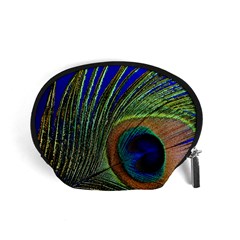 Peacock Feather Macro Peacock Bird Accessory Pouch (small) by Simbadda