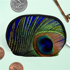 Peacock Feather Macro Peacock Bird Accessory Pouch (medium) by Simbadda