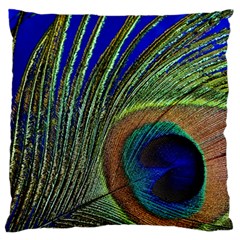 Peacock Feather Macro Peacock Bird Standard Flano Cushion Case (one Side) by Simbadda