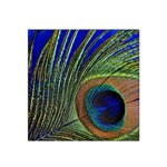 Peacock Feather Macro Peacock Bird Satin Bandana Scarf Front