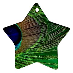 Peacock Feather Macro Peacock Bird Ornament (star) by Simbadda