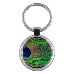 Peacock Feather Macro Peacock Bird Key Chains (round)  by Simbadda