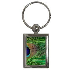 Peacock Feather Macro Peacock Bird Key Chains (rectangle)  by Simbadda