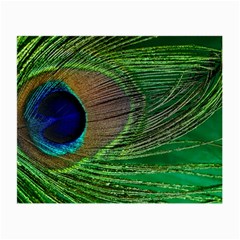 Peacock Feather Macro Peacock Bird Small Glasses Cloth by Simbadda