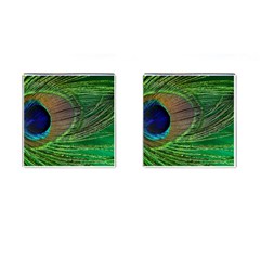 Peacock Feather Macro Peacock Bird Cufflinks (square) by Simbadda