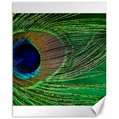 Peacock Feather Macro Peacock Bird Canvas 16  X 20  by Simbadda