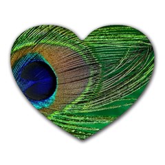 Peacock Feather Macro Peacock Bird Heart Mousepads by Simbadda