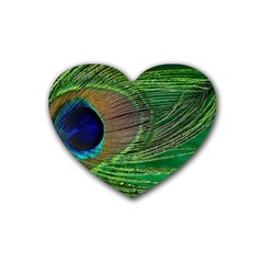 Peacock Feather Macro Peacock Bird Rubber Coaster (heart)  by Simbadda