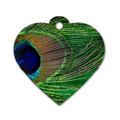 Peacock Feather Macro Peacock Bird Dog Tag Heart (two Sides) by Simbadda