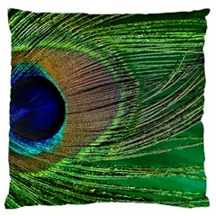 Peacock Feather Macro Peacock Bird Standard Flano Cushion Case (one Side) by Simbadda