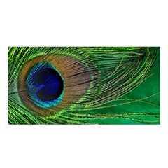 Peacock Feather Macro Peacock Bird Satin Shawl by Simbadda