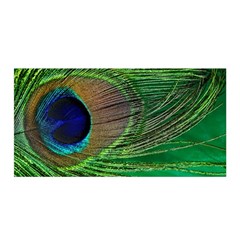 Peacock Feather Macro Peacock Bird Satin Wrap by Simbadda