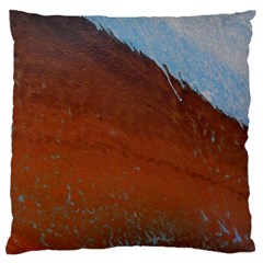 Acid Rain Large Flano Cushion Case (one Side) by WILLBIRDWELL