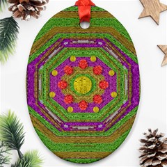 Flowers In Rainbows For Ornate Joy Ornament (oval) by pepitasart