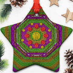 Flowers In Rainbows For Ornate Joy Ornament (star) by pepitasart