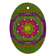 Flowers In Rainbows For Ornate Joy Oval Ornament (two Sides) by pepitasart