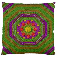 Flowers In Rainbows For Ornate Joy Standard Flano Cushion Case (one Side) by pepitasart