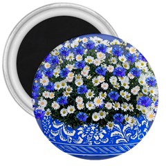 Marguerite Cornflower Vase Blossom 3  Magnets by Simbadda