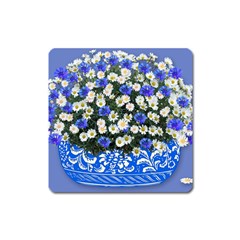 Marguerite Cornflower Vase Blossom Square Magnet