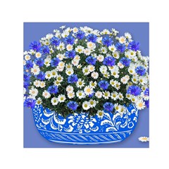 Marguerite Cornflower Vase Blossom Small Satin Scarf (square) by Simbadda