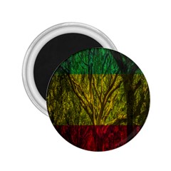 Rasta Forest Rastafari Nature 2 25  Magnets by Simbadda