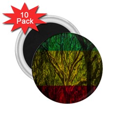 Rasta Forest Rastafari Nature 2 25  Magnets (10 Pack)  by Simbadda