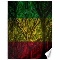 Rasta Forest Rastafari Nature Canvas 12  X 16  by Simbadda