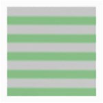 Bold Stripes Soft Green Medium Glasses Cloth Front