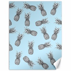 Pineapple Pattern Canvas 18  X 24  by Valentinaart