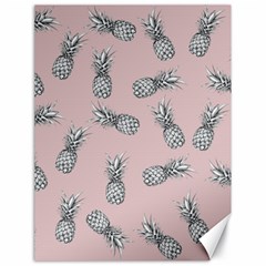 Pineapple Pattern Canvas 18  X 24  by Valentinaart