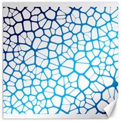 Network Social Neurons Brain Cells Canvas 16  X 16  by Simbadda