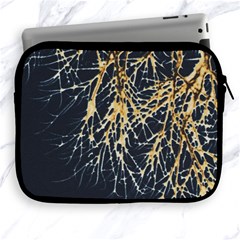 Nature Model No One Wallpaper Apple Ipad 2/3/4 Zipper Cases by Simbadda