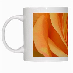 Flower Plant Rose Nature Garden White Mugs by Celenk