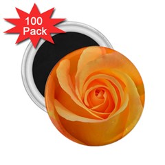 Flower Plant Rose Nature Garden 2 25  Magnets (100 Pack)  by Celenk