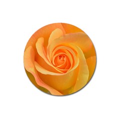 Flower Plant Rose Nature Garden Magnet 3  (round) by Celenk