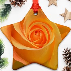 Flower Plant Rose Nature Garden Star Ornament (two Sides) by Celenk