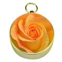 Flower Plant Rose Nature Garden Gold Compasses by Celenk