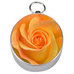 Flower Plant Rose Nature Garden Silver Compasses by Celenk