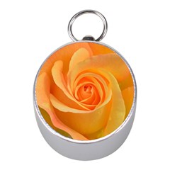 Flower Plant Rose Nature Garden Mini Silver Compasses by Celenk