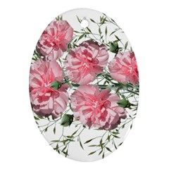 Carnations Flowers Nature Garden Oval Ornament (Two Sides)