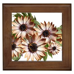 Sun Daisies Leaves Flowers Framed Tiles by Celenk