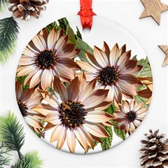 Sun Daisies Leaves Flowers Ornament (round) by Celenk